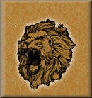 [Lion[5].jpg]