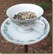 teacup birdfeeder ehow