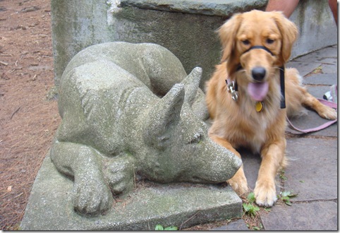 golden retriever dog with dog statue at park