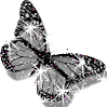 92.gif