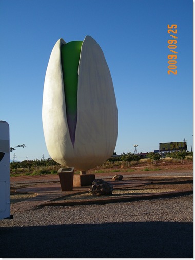 giant pistachio