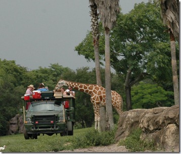 Busch Gardens 20100811-77