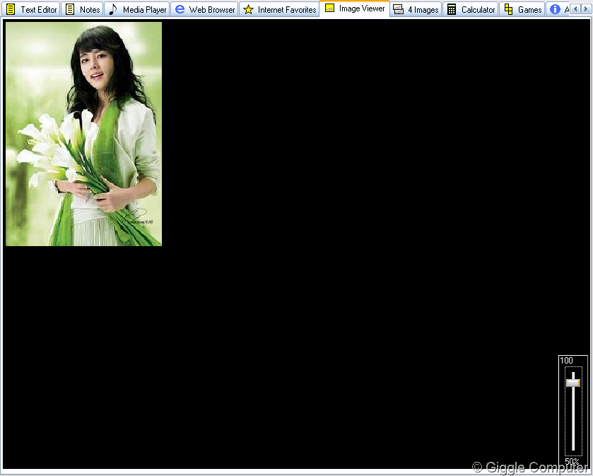 [Image viewer[3].png]