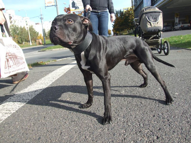 DSCF0973.jpg