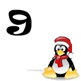 d9.jpg