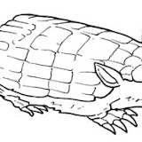 peltephilus.jpg