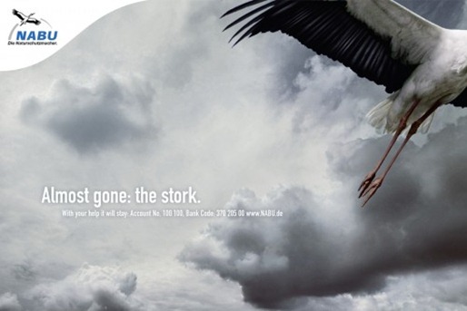 nabustork-500x333