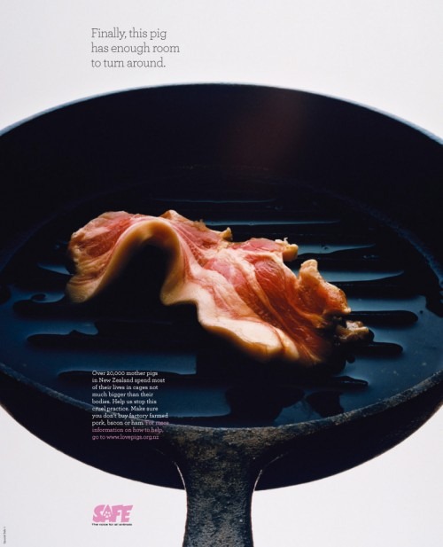 [safepan-500x617[5].jpg]