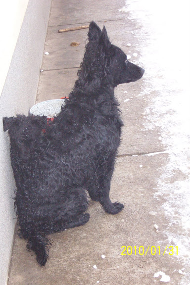 2010.01.30%20A-alom%20025.jpg