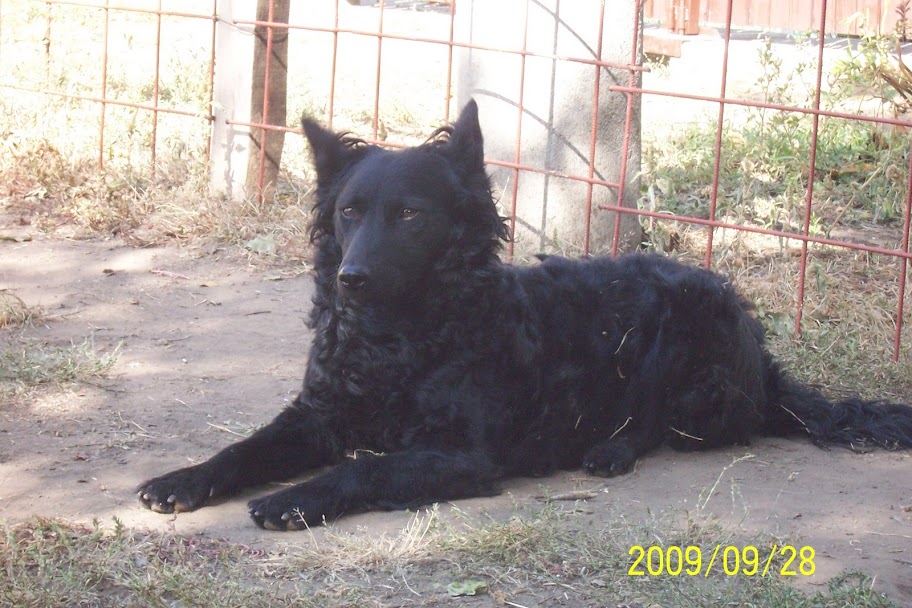 2009.09.28%20026.jpg