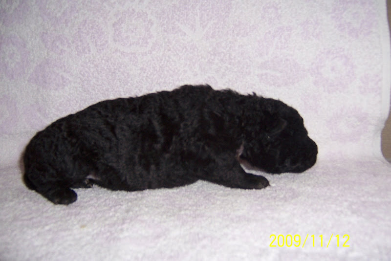 2009.11.03%20088.jpg