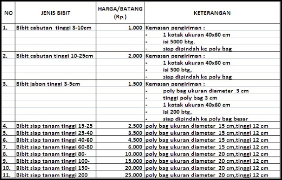 harga bibit jabon