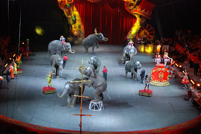 Ringling Bros and Barnum & Bailey's Over the Top