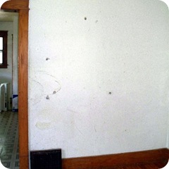 diningroom damaged wall