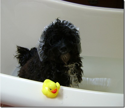 in the bath