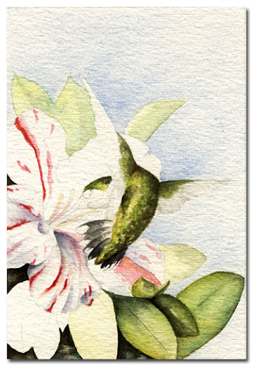 watercolour hummingbird painting
