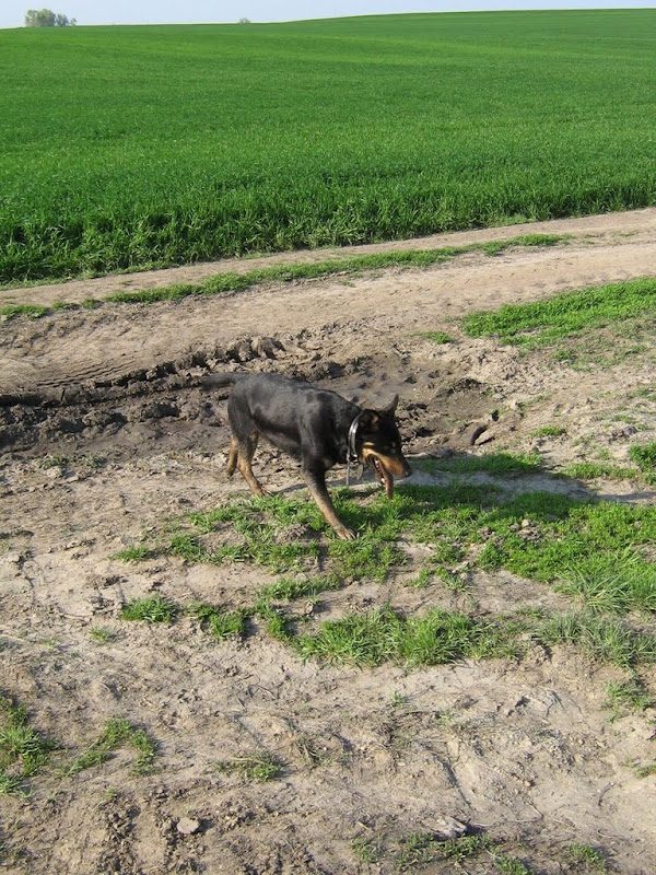 IMG_0366.JPG