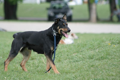 _MG_3130.JPG