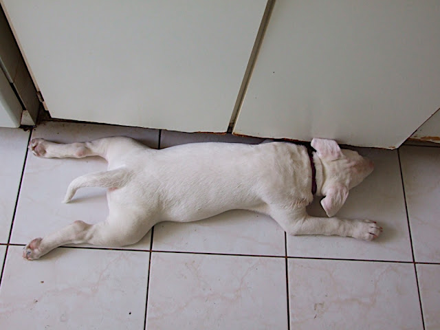 DSCF3002.JPG