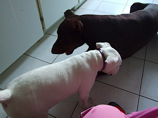 DSCF2987.JPG