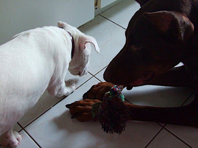 DSCF2990.JPG