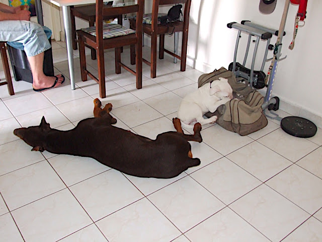 DSCF3053.JPG