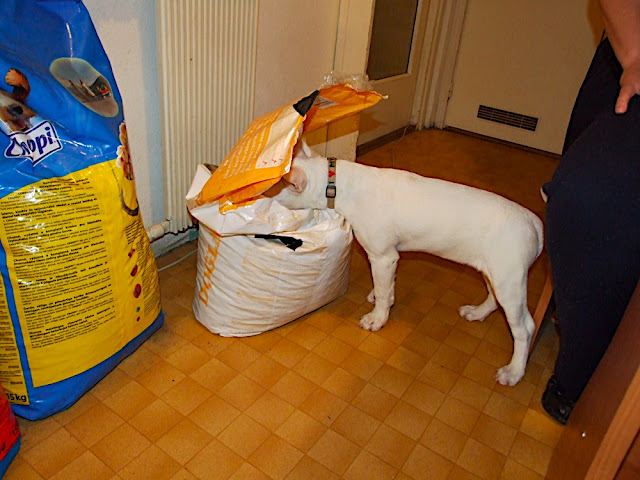 DSCF3143.JPG