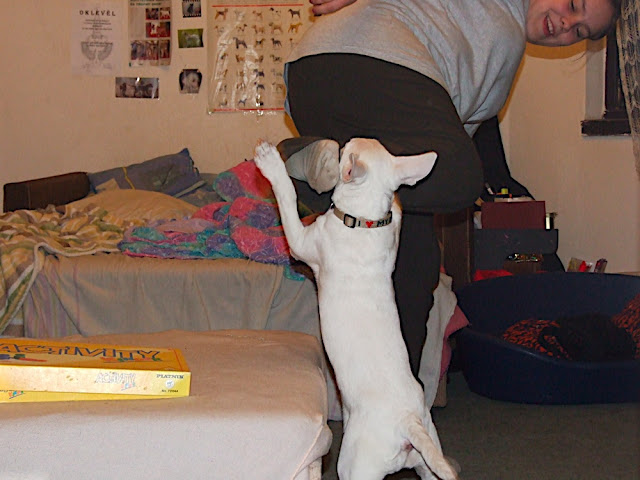 DSCF3174.JPG
