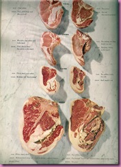 meat article 1