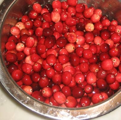 [cranberries1[3].jpg]