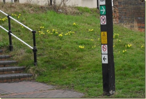 SDC10496 SDC10496