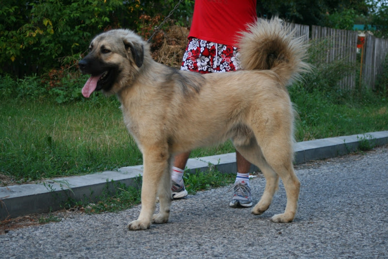 aaMG_4912.jpg