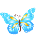 butterfly (11)