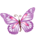 [butterfly (13)[3].png]