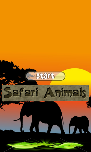 Safari Animals