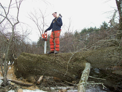 Cue Marc and the safety orange Husqvarna Logo Orange. Cue Marc and the safety orange