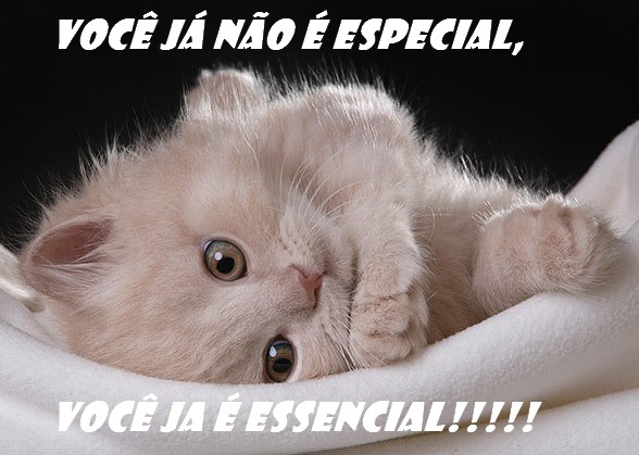 jdb78.jpg