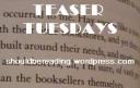 Teaser Tuesdays