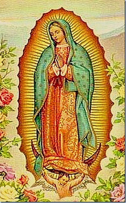 Bella Virgen de Guadalupe