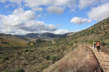 WM - IMG_8527 - r WM - IMG_8527 - r