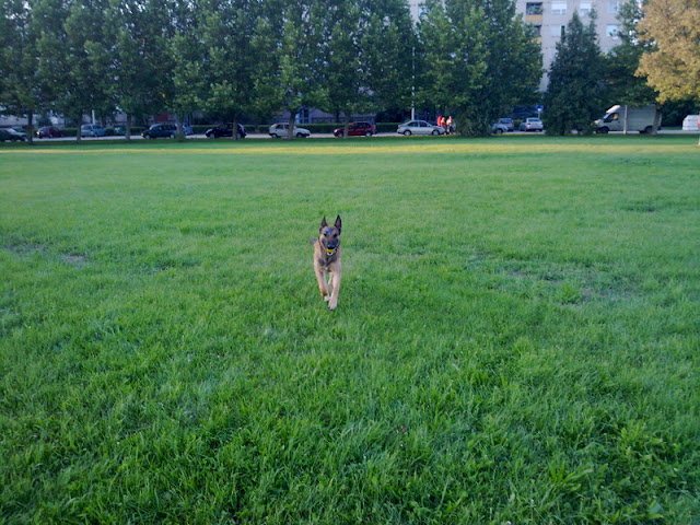 20100804447.jpg
