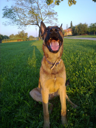 20100804460.jpg