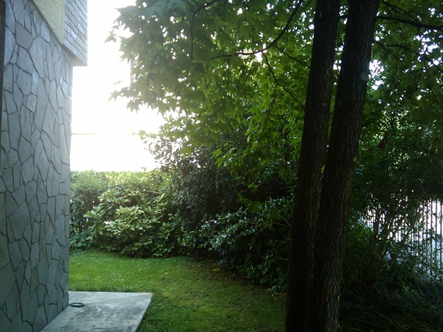 [2009-07-15 16.54.18[2].jpg]