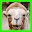الجمال : بانوراما الألغاز حيوا Download on Windows
