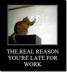 funny-pictures-this-is-the-real-reason-youre-late-for-work