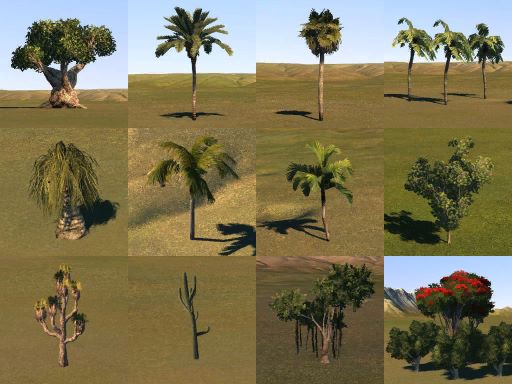 ArbresExotiques.jpg