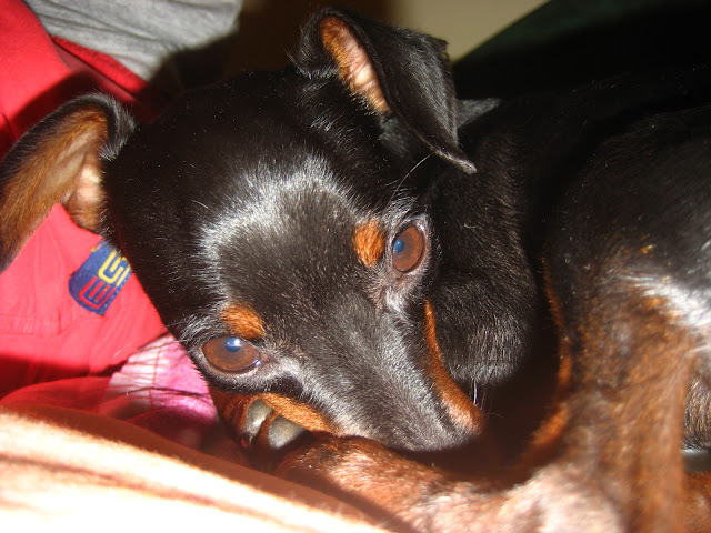 Vera%20069.jpg
