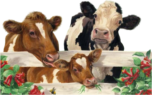 [animales misimagenesdivertidas.blogspot (32)[2].png]