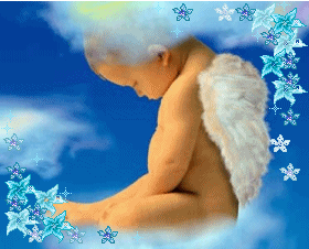 baby-angel baby-angel
