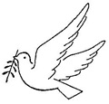 palomas paz (17)